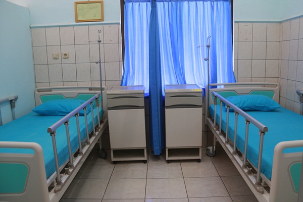 anggrek anyelir